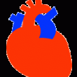 心臓の画像04