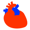 心臓の画像05